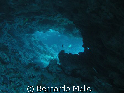 This cavern in the Risca do Zumbi at Fernando de Noronha ... by Bernardo Mello 